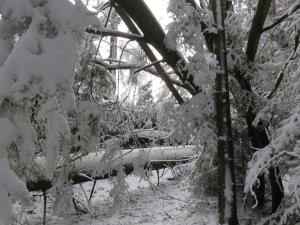 Sršenov vrh 16-12-2017 (1)